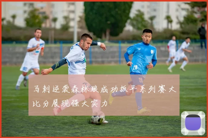 马刺逆袭森林狼成功扳平系列赛大比分展现强大实力