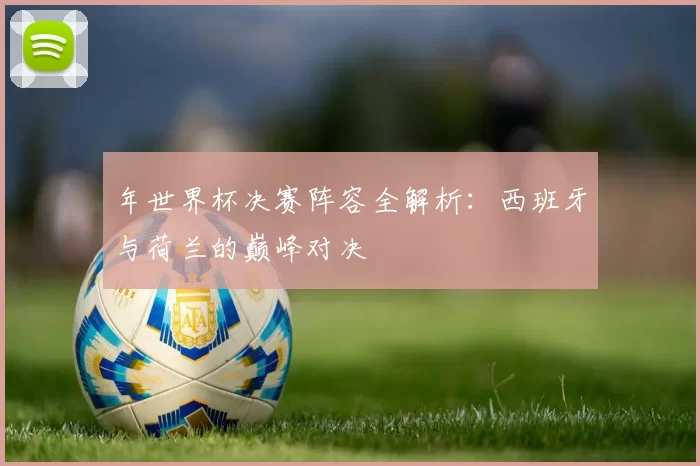 年世界杯决赛阵容全解析:西班牙与荷兰的巅峰对决