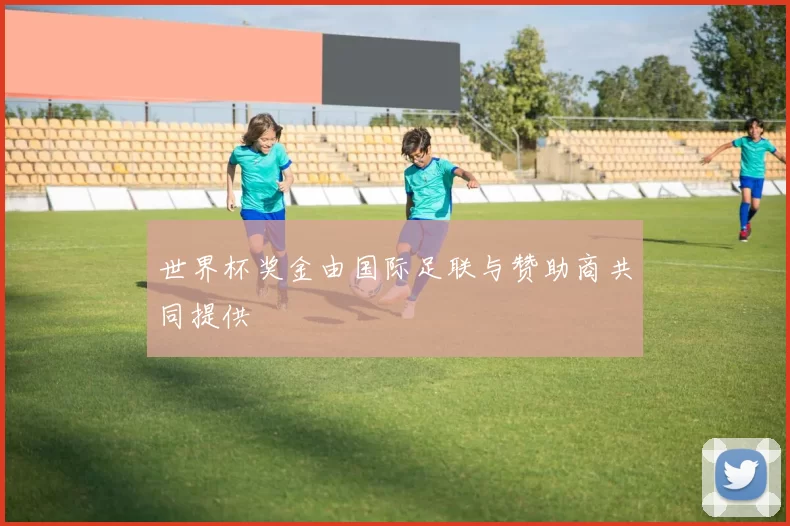 世界杯奖金由国际足联与赞助商共同提供