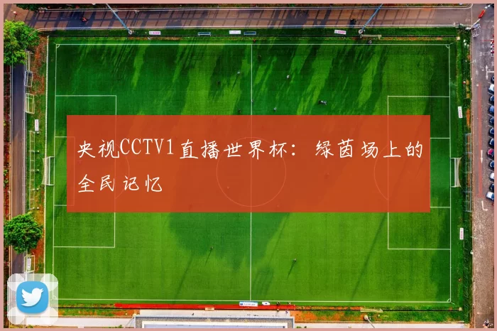 央视CCTV1直播世界杯：绿茵场上的全民记忆