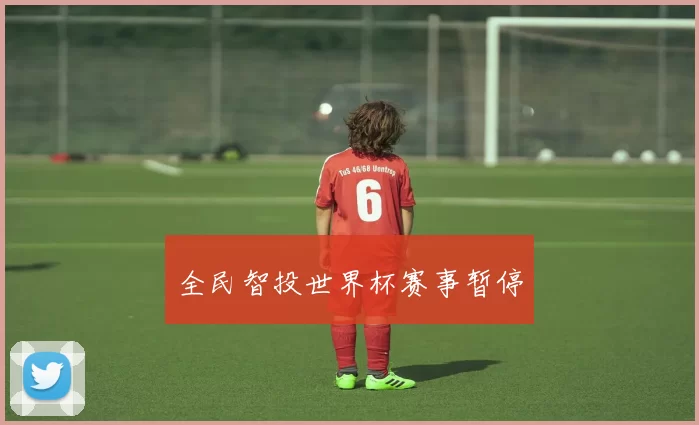 全民智投世界杯赛事暂停