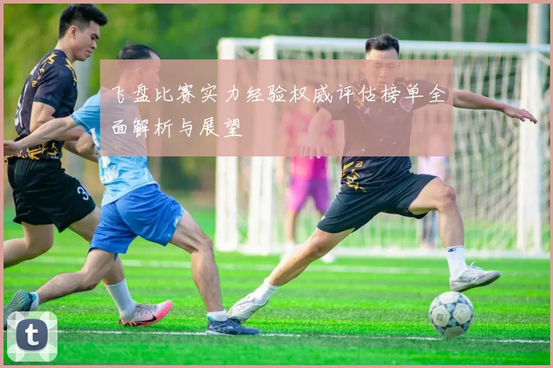 飞盘比赛实力经验权威评估榜单全面解析与展望