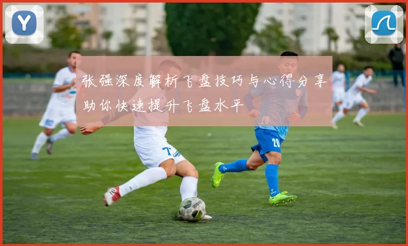张强深度解析飞盘技巧与心得分享助你快速提升飞盘水平