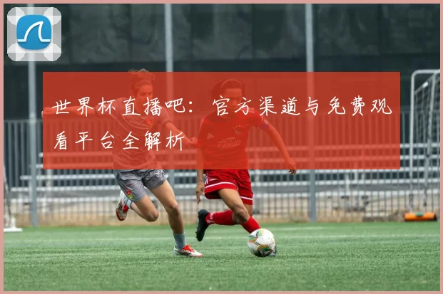 世界杯直播吧:官方渠道与免费观看平台全解析