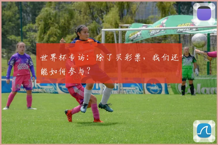 世界杯专访：除了买彩票，我们还能如何参与？