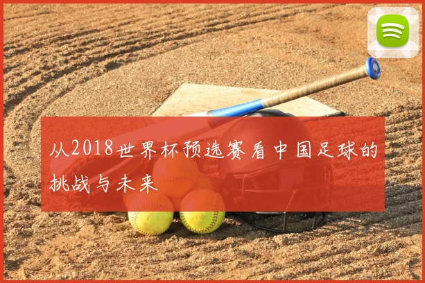 从2018世界杯预选赛看中国足球的挑战与未来