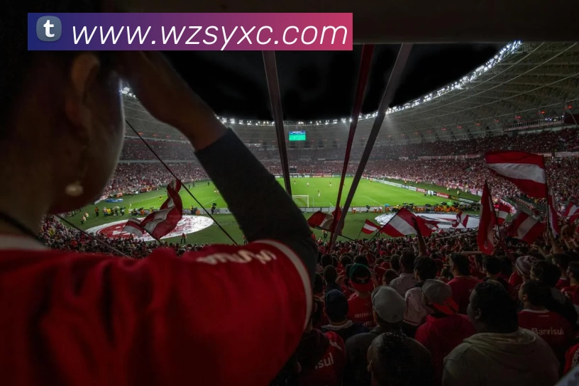 买球赛服务体系